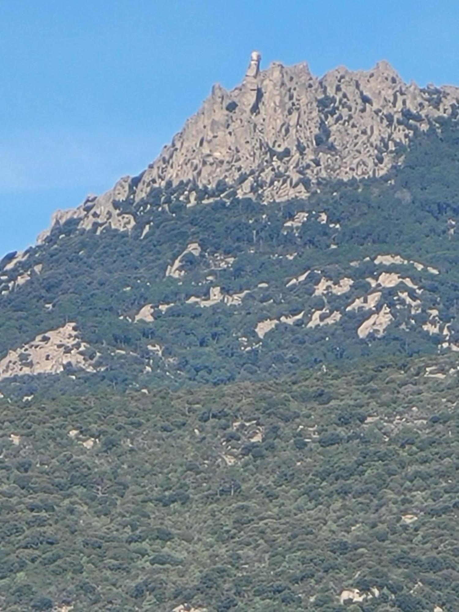 Argiale - Arghjale Βίλα Figari  Εξωτερικό φωτογραφία